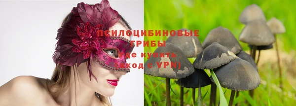 MESCALINE Вяземский