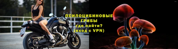 MESCALINE Вяземский