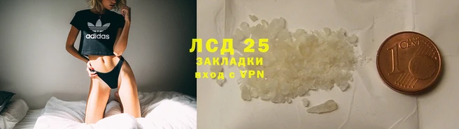спайс Вязьма
