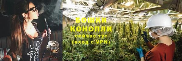 мдпв Вязники
