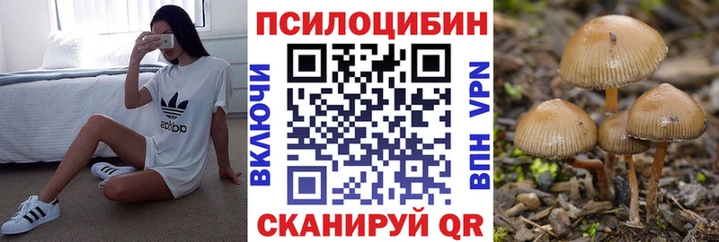 Псилоцибиновые грибы GOLDEN TEACHER  Купить где  Михайловка 